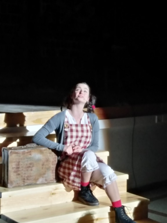 Μουσική Παράσταση Annie the Musical
